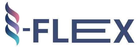 S-flex Device mark 6697323 Trademark