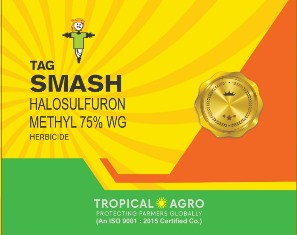 Tag Smash Device mark 6721351 Trademark