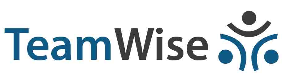 Teamwise Device mark 2449510 Trademark