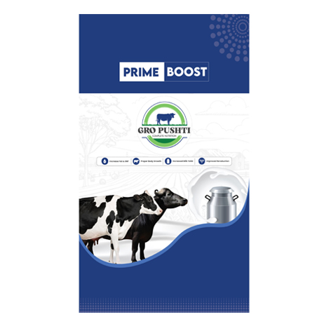 Prime Boost Device mark 6740841 Trademark