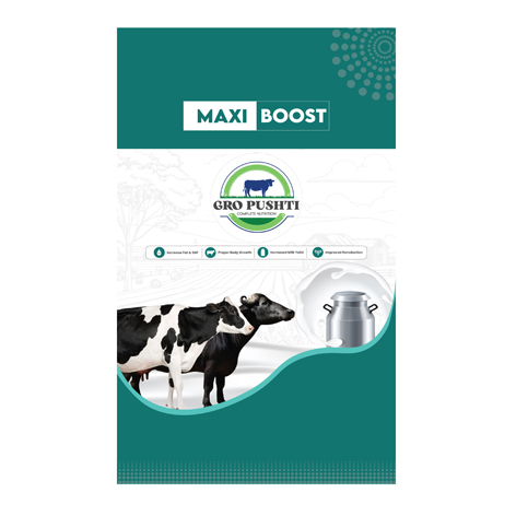 Maxi Boost Device mark 6740842 Trademark