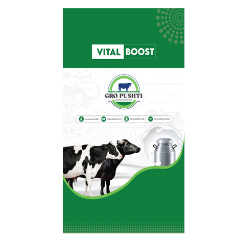 Vital Boost Device mark 6740844 Trademark
