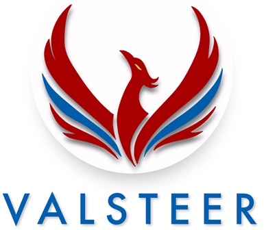 Valsteer Device mark 6743700 Trademark