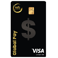 Wsfx Global Pay Device mark 6762141 Trademark