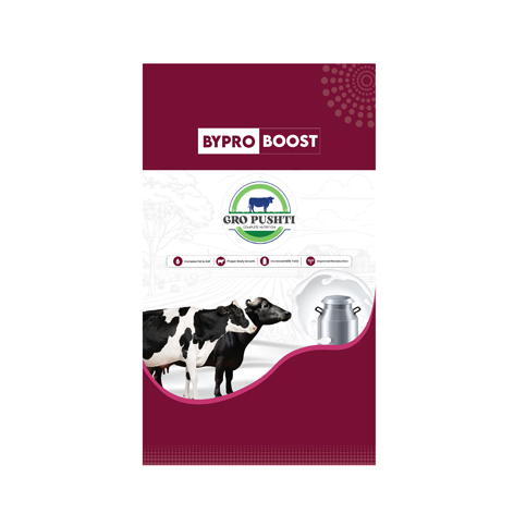 Bypro Boost Device mark 6771156 Trademark