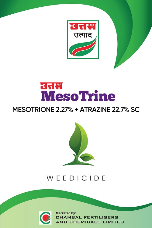 Uttam Mesotrine Device mark 6775694 Trademark