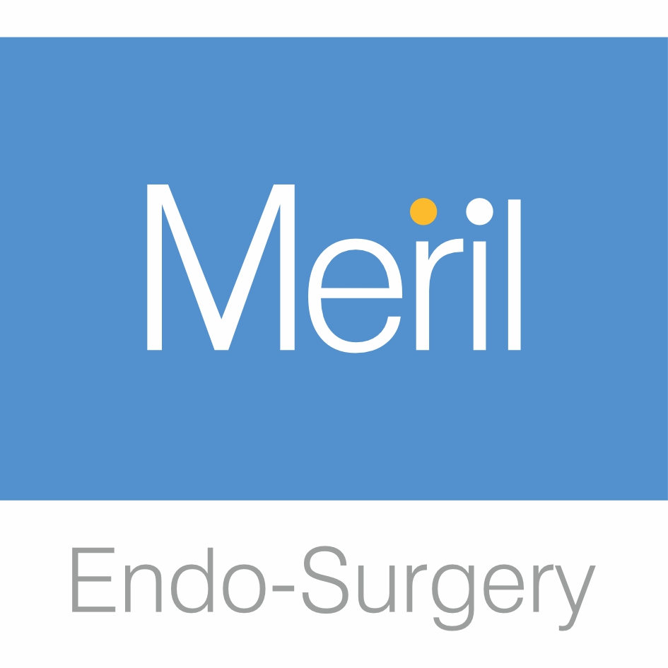 Meril Endo-surgery Device mark 6800416 Trademark