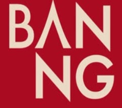 Banng Device mark 6872417 Trademark