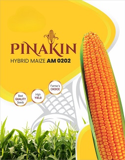 Pinakin Device mark 6958018 Trademark