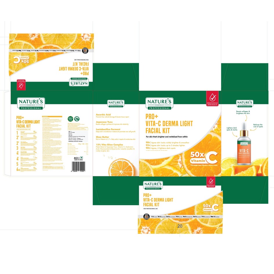 Device Mark Of Pro+-vita-c Derma Light -facial-kit Device mark 6977395 Trademark