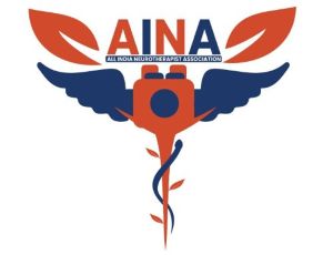 Aina (device) Device mark 6994039 Trademark