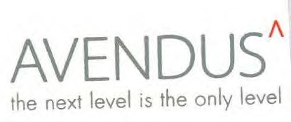 Avendus The Next Level Is The Only Level (device) Device mark 7019445 Trademark