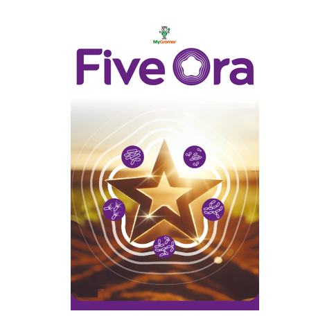 Five Ora Device mark 7052059 Trademark