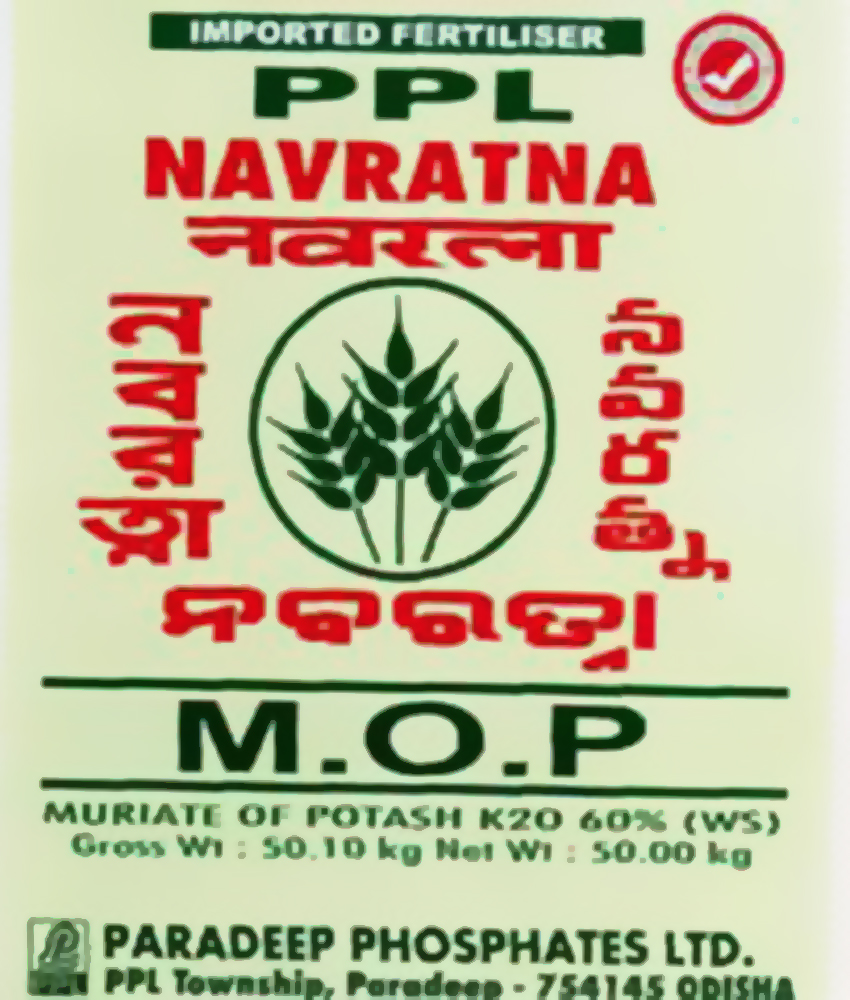 Ppl Navratna M.o.p (with Device) Device mark 7060721 Trademark