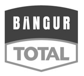 Bangur Total Device mark 7165038 Trademark