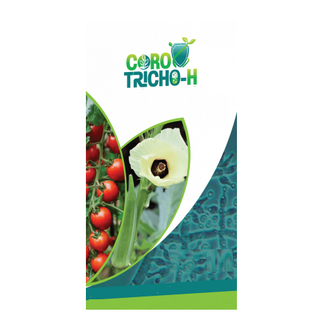 Corotricho-h Device mark 7168308 Trademark