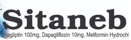 Sitaneb Device mark 7307313 Trademark