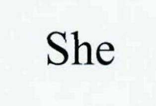 She Device mark 2797144 Trademark