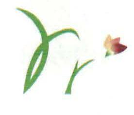 Device Device mark 2289581 Trademark