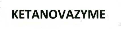 Ketanovazyme Device mark 2250599 Trademark