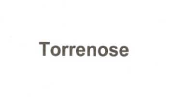 Torrenose Device mark 2032161 Trademark