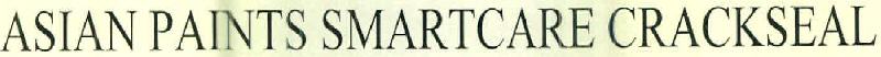 Asian Paints Smartcare Crackseal Device mark 2592006 Trademark