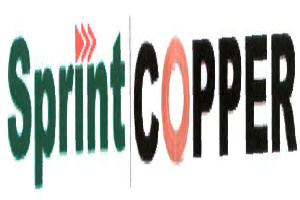 Sprint Copper Wit Device Device mark 2080401 Trademark