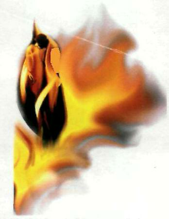 Device Mark Device mark 2304307 Trademark