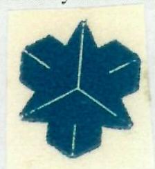 Device Of Mark Device mark 2503547 Trademark