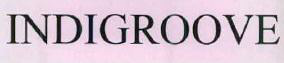 Indigroove Device mark 2601358 Trademark