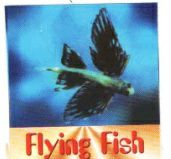 Flying Fish With Lable Device mark 2389836 Trademark