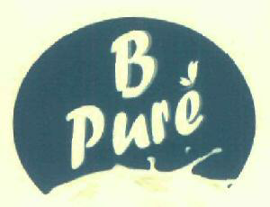 B Pure Device mark 2973143 Trademark
