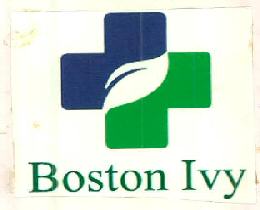 Boston Ivy Device mark 2754516 Trademark