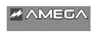 Amega Device mark 2957796 Trademark