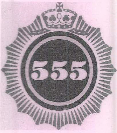 555 Device mark 2641738 Trademark