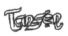 Tanser Device mark 2938406 Trademark