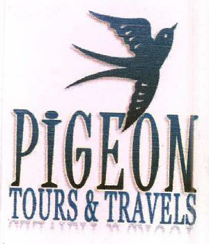 Pigeon Tours & Travels Device mark 2551581 Trademark
