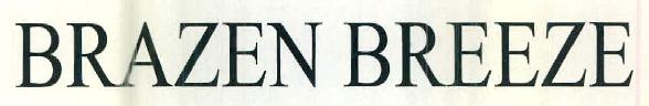 Brazen Breeze Device mark 2875386 Trademark