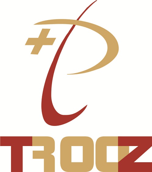 Trooz Device mark 2933349 Trademark