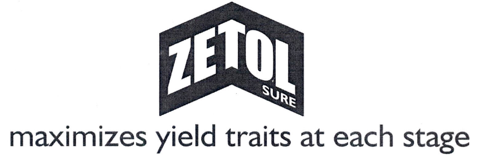 Zetol Sure Device mark 2840307 Trademark
