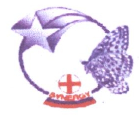 Synergy With Device Device mark 2179304 Trademark