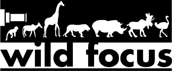 Wild Focus (device Of Animals) Device mark 2278844 Trademark