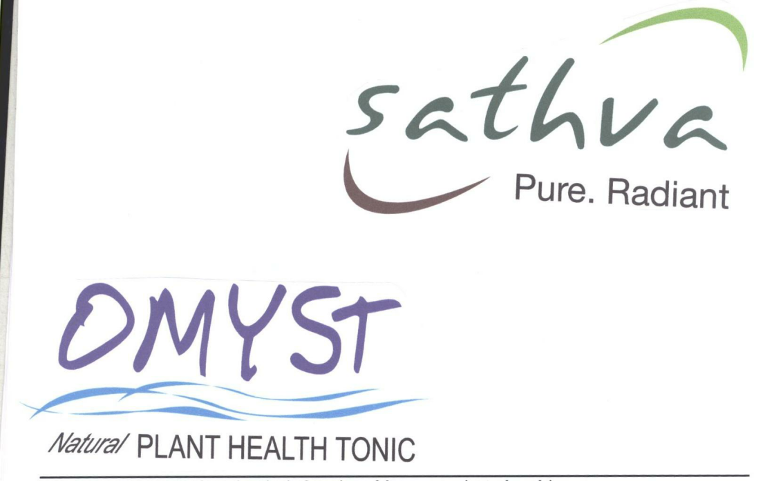 Sathva Omyst Device mark 2361982 Trademark