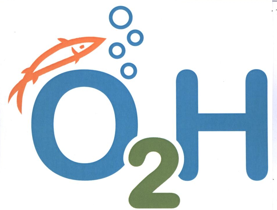 O2h Device mark 2181550 Trademark