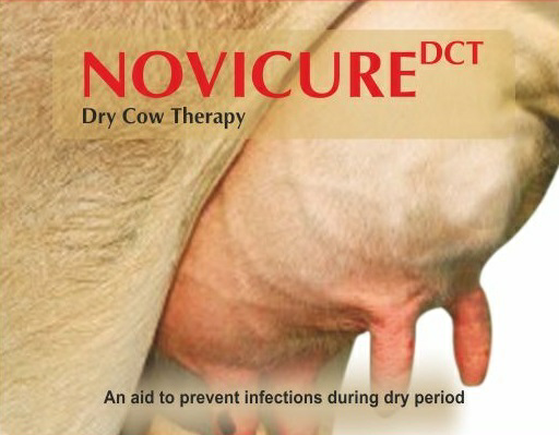 Novicure Dct (label) Device mark 2978879 Trademark