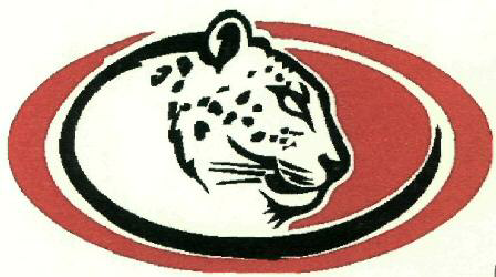 Device Of Tiger Device mark 2506564 Trademark