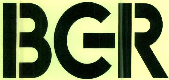 Ber Device mark 2756483 Trademark