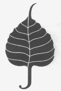 Device Device mark 2769922 Trademark