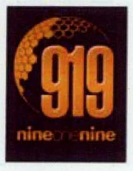 919 Device mark 2260889 Trademark