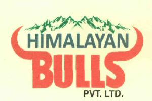 Himalayan Bulls (device) Device mark 2705040 Trademark